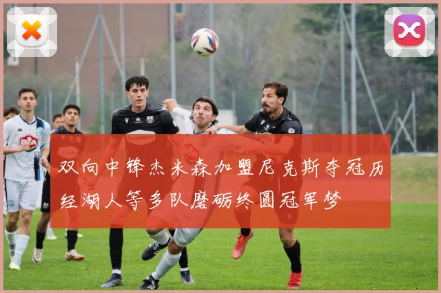 双向中锋杰米森加盟尼克斯夺冠历经湖人等多队磨砺终圆冠军梦