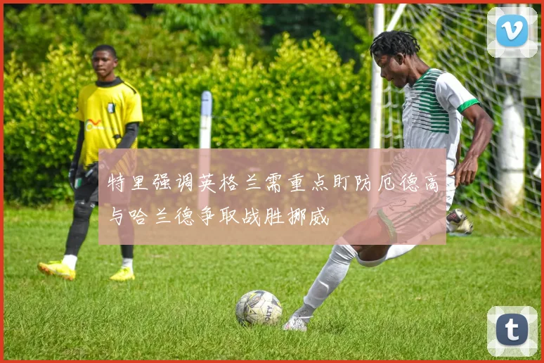特里强调英格兰需重点盯防厄德高与哈兰德争取战胜挪威
