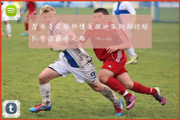 摩洛哥足球热情高涨迪亚斯期待球队登顶巅峰之路